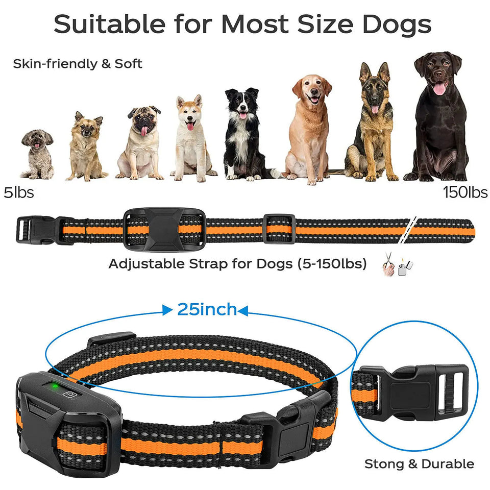 Electric Dog Training Collar with Remote Control