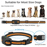 Electric Dog Training Collar with Remote Control