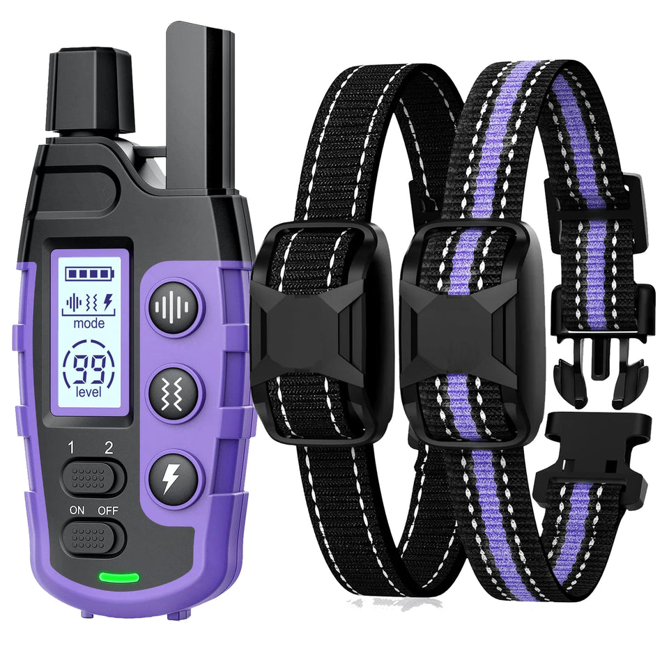Electric Dog Training Collar with Remote Control