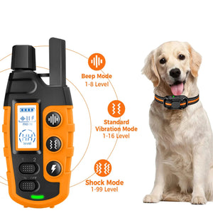 Electric Dog Training Collar with Remote Control