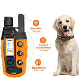 Electric Dog Training Collar with Remote Control