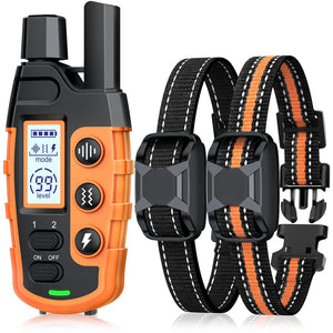Electric Dog Training Collar with Remote Control