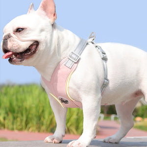 Reflective Pet Harness with Leash Set