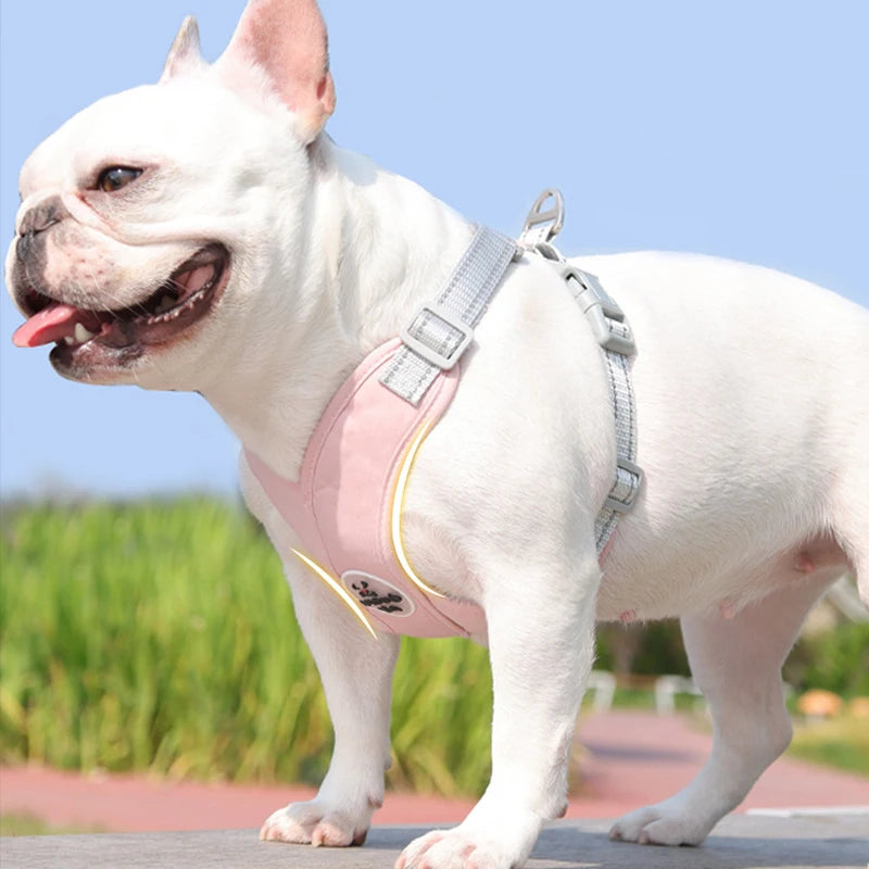 Reflective Pet Harness with Leash Set