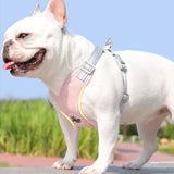 Reflective Pet Harness with Leash Set