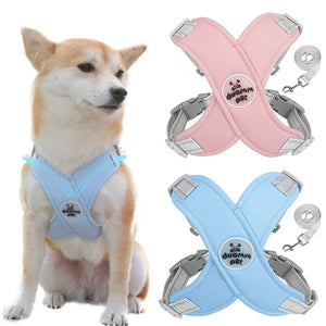 Reflective Pet Harness with Leash Set