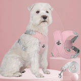 Reflective Pet Harness with Leash Set