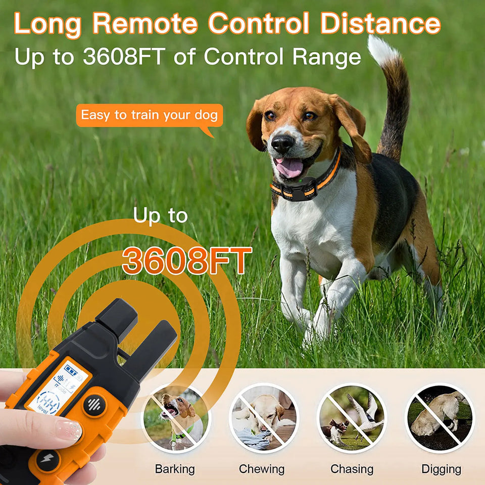 Electric Dog Training Collar with Remote Control