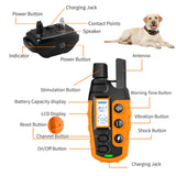 Electric Dog Training Collar with Remote Control