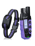 Electric Dog Training Collar with Remote Control