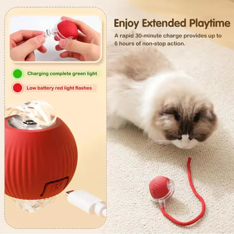 Electric Rolling Cat Toy Ball