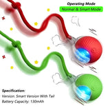 Electric Rolling Cat Toy Ball
