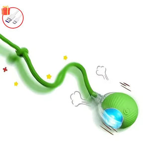 Electric Rolling Cat Toy Ball