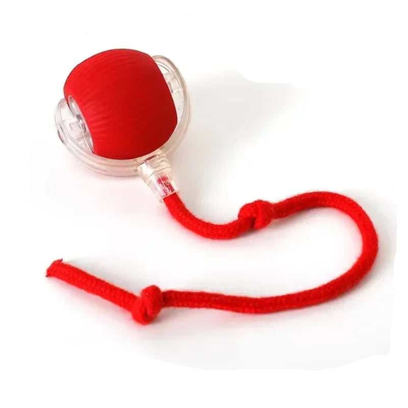 Electric Rolling Cat Toy Ball